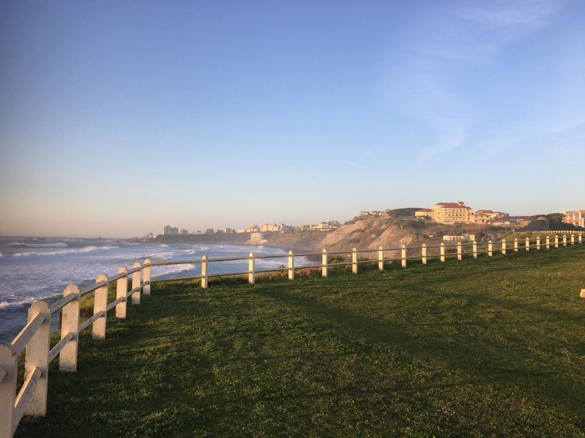 Studio Sur La Plage Vue Mer Piscine 비아히쯔 외부 사진